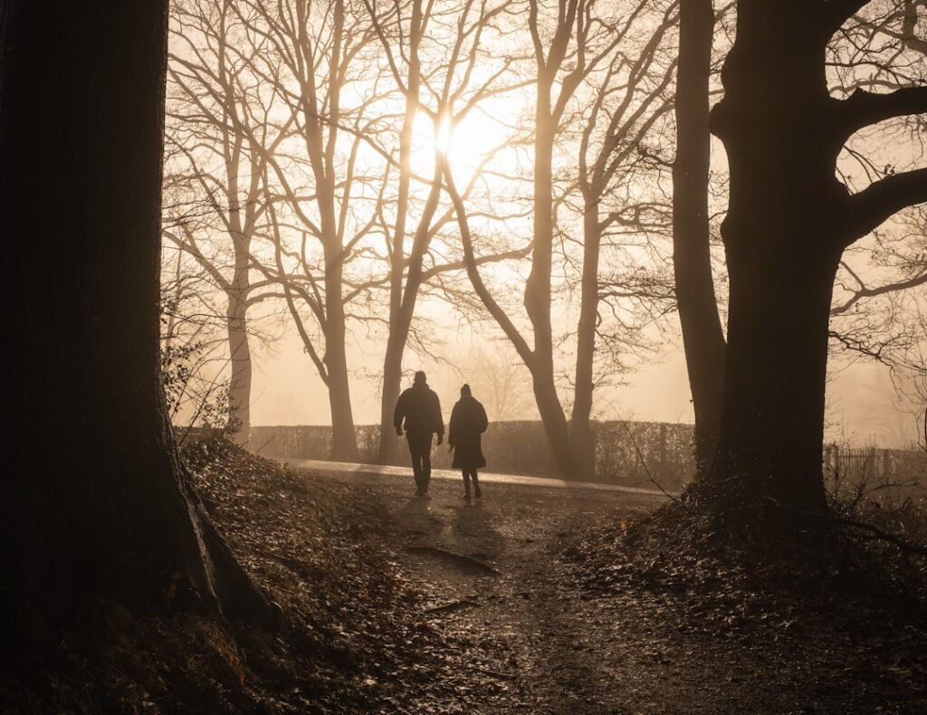 An older couple walking together along a tree-lined path in soft morning light