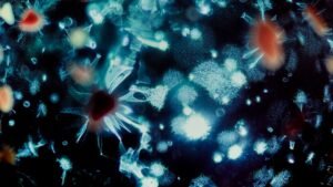 Illustration of interconnected neurons with branching dendrites against a dark background, evoking brain cell connections