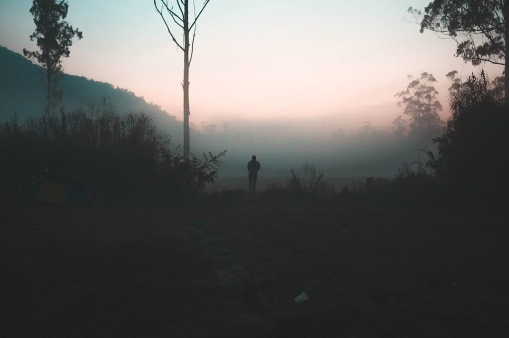 A single person standing in soft morning light amid mist, conveying a moment of calm and physiological recovery